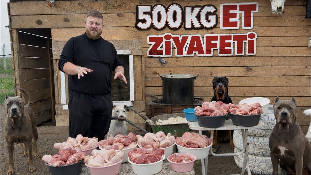 ПИР на 500 КГ КУРИЦЫ для моих собак! 🍗 Они в полном восторге!