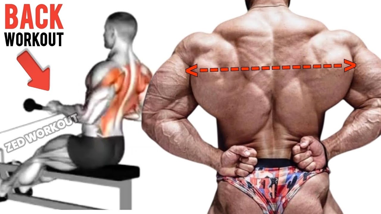 Top Best Back Exercises To Build Bigger and Wider Back Muscle | Back Workout