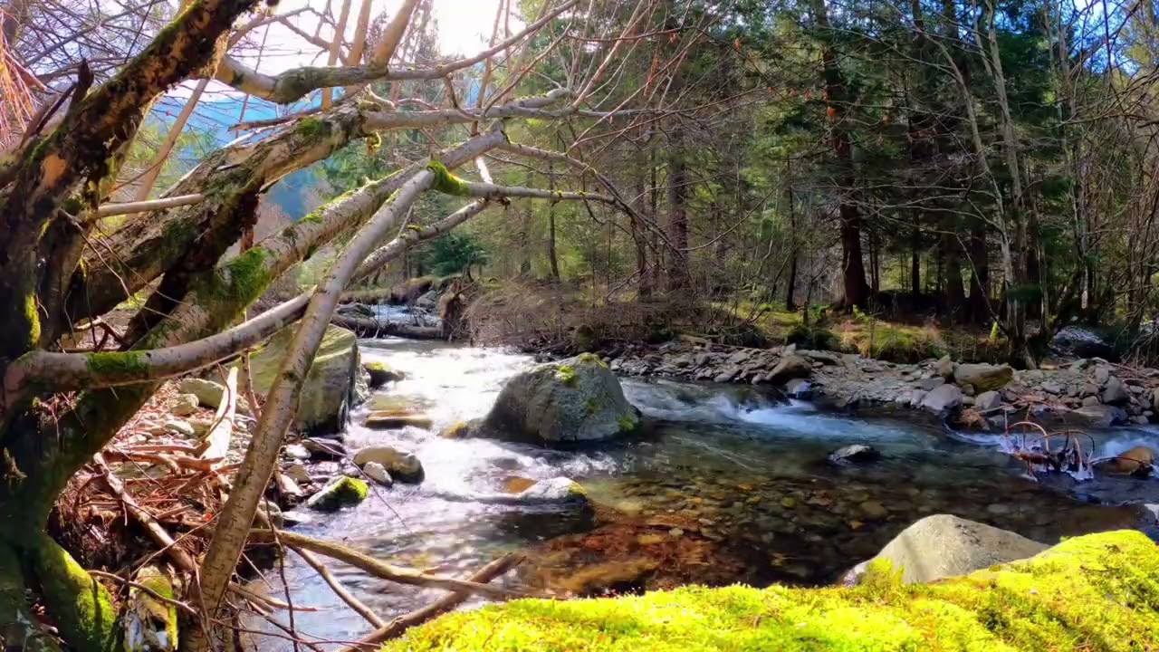 Relaxing Spring Nature – Creek Water & Birds (Расслабляющая весенняя природа — ручей и птицы)