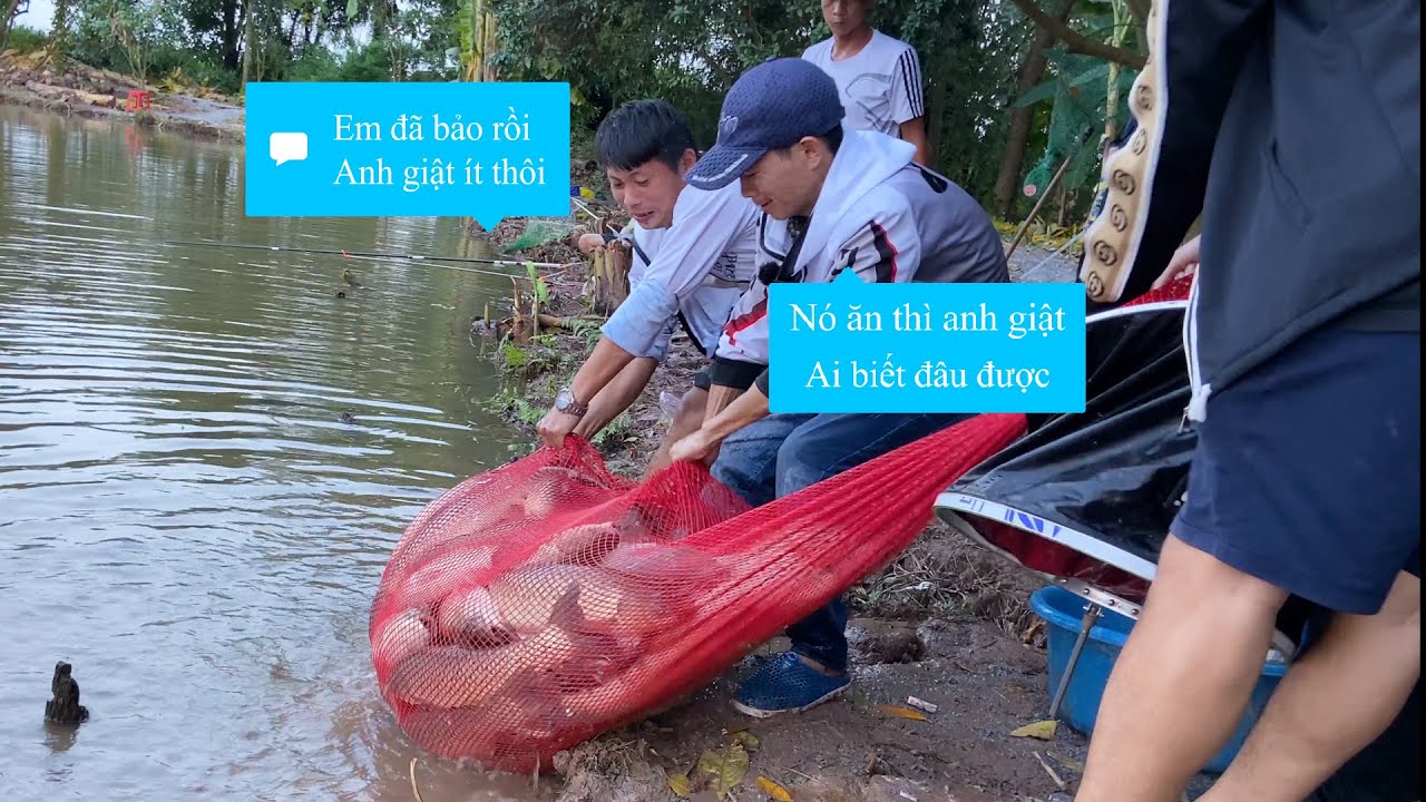 51. Trắm trắng 