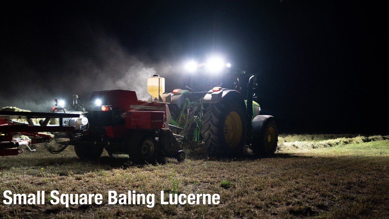 Small Square Baling Lucerne | John Deere 6195M + Massey Ferguson SB1840 📸🌾