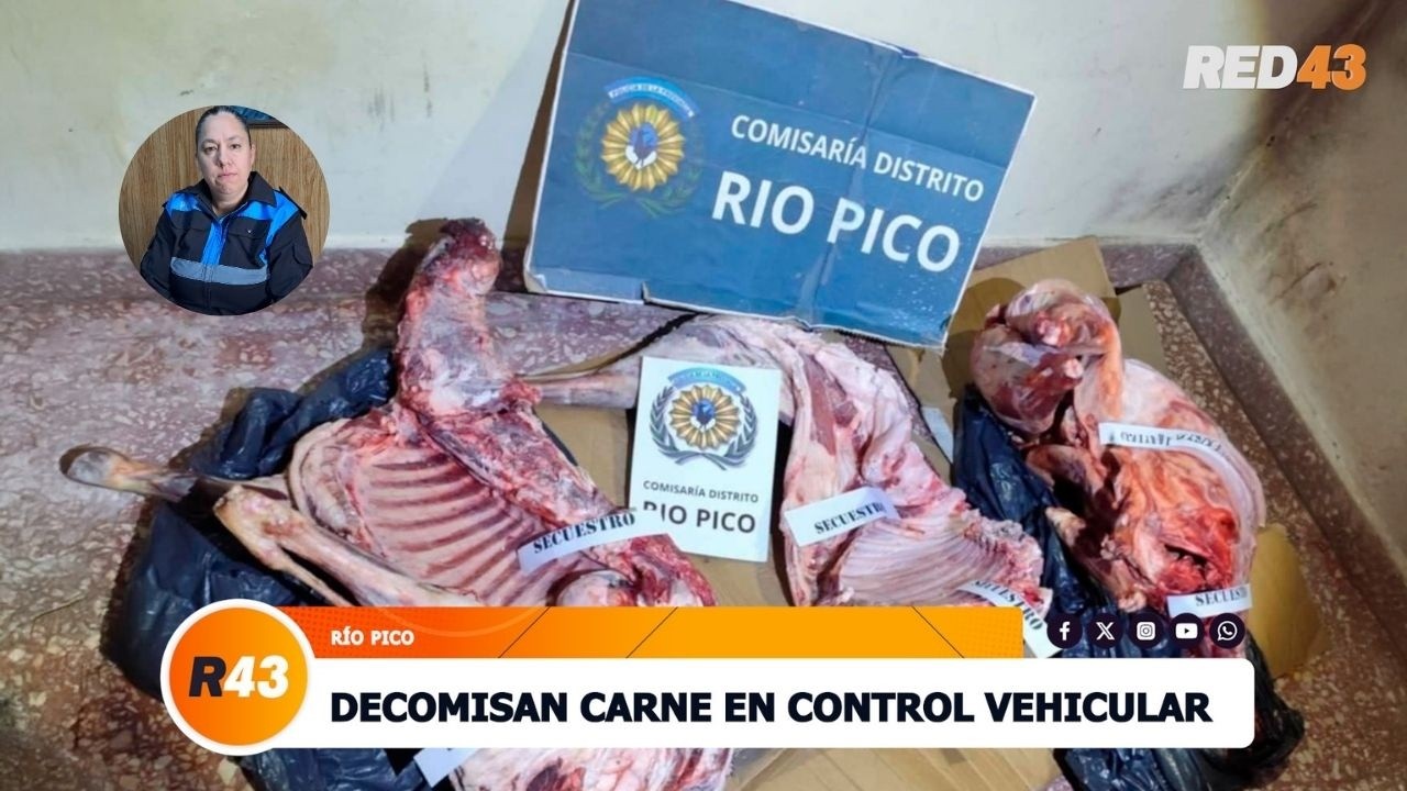 DECOMISAN CARNE EN CONTROL VEHICULAR