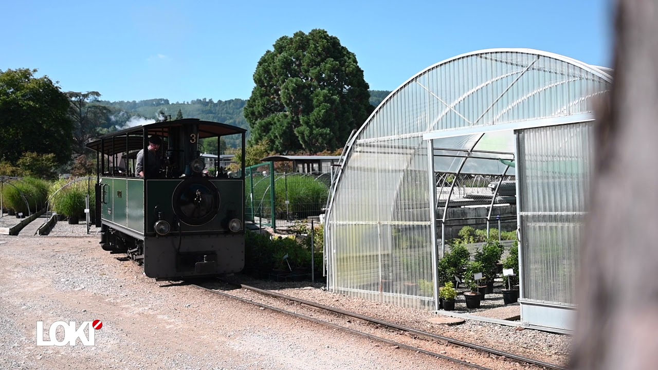 Mehrzugbetrieb bei der Schinznacher Baumschulbahn 2021 (LOKI by volldampf.tv)