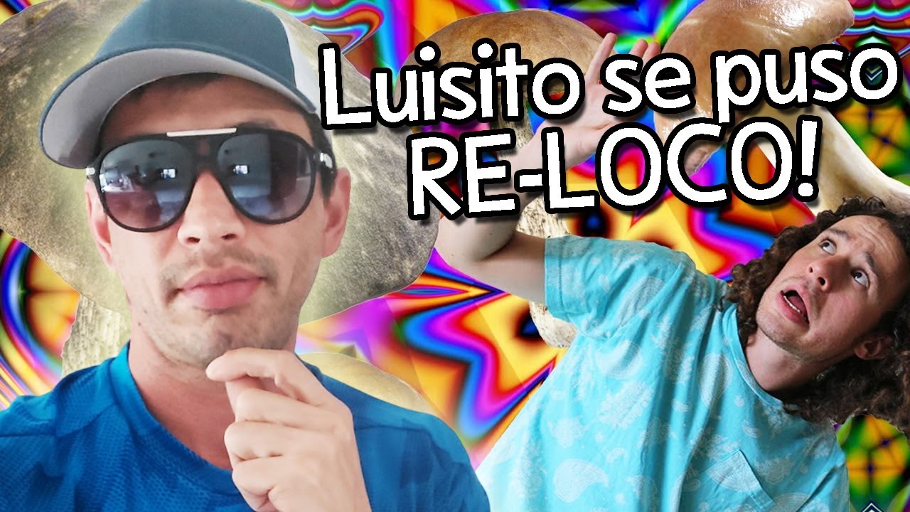 Luisito Se Puso Re-Loco - Reacci&oacute;n!