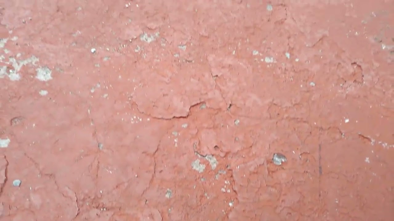 Hold Back the Night (Tributo a Sinead O'Connor)