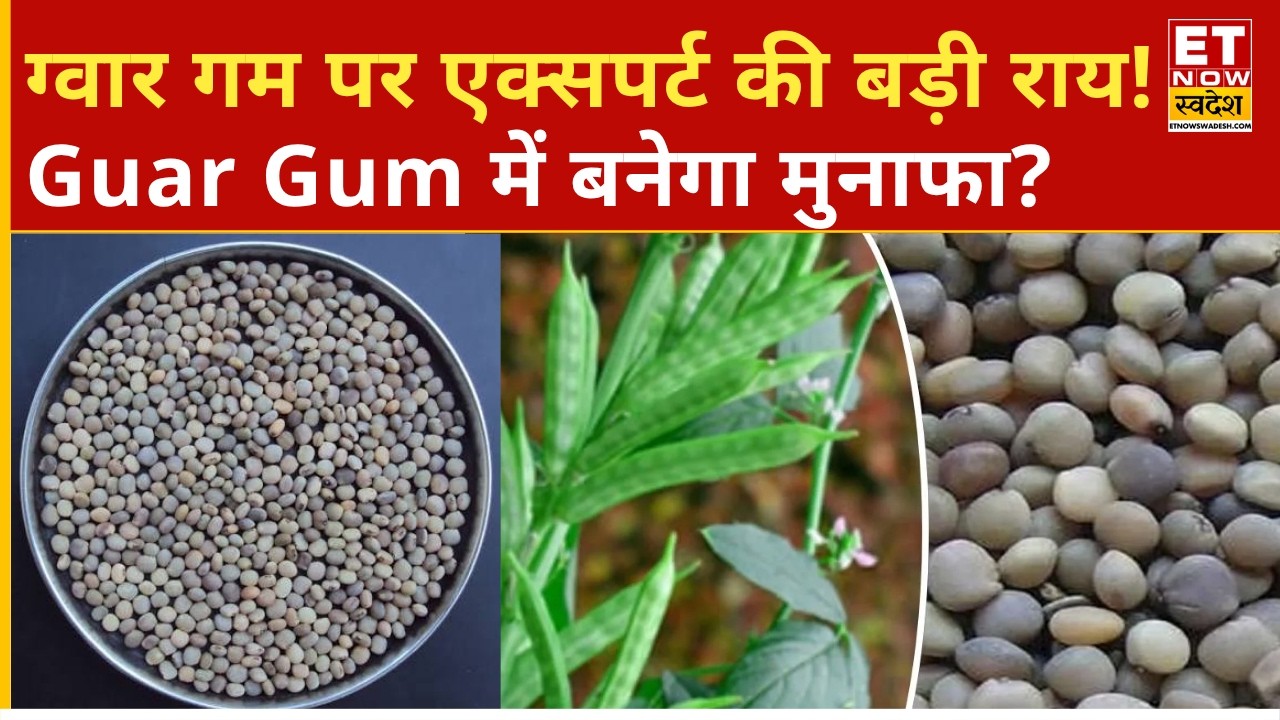 Commodity Market: What did the expert say on Guar Gum? Know the complete market outlook | Expert ...