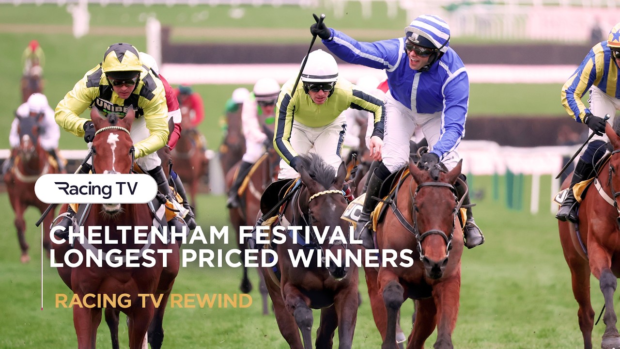 A selection of the longest priced winners in Cheltenham Festival history | Racing TV