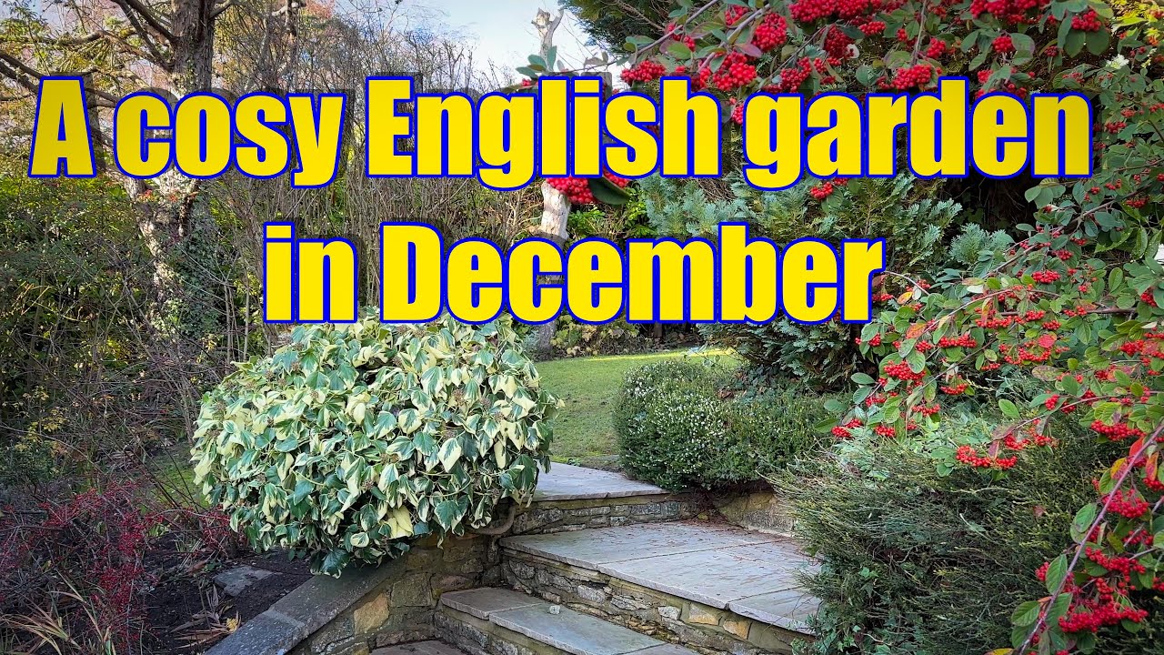 Vlog 242 - A fairytale English Garden in December