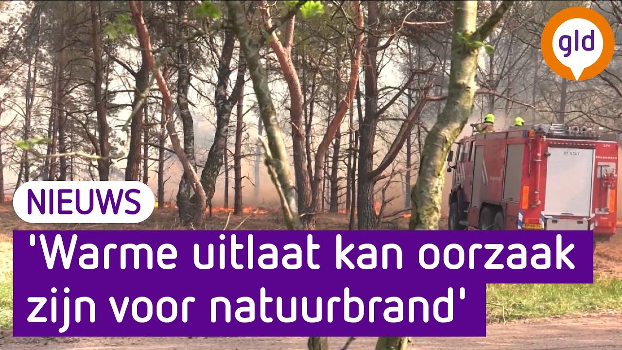Brandweer vraagt hulp, zo voorkom je een natuurbrand