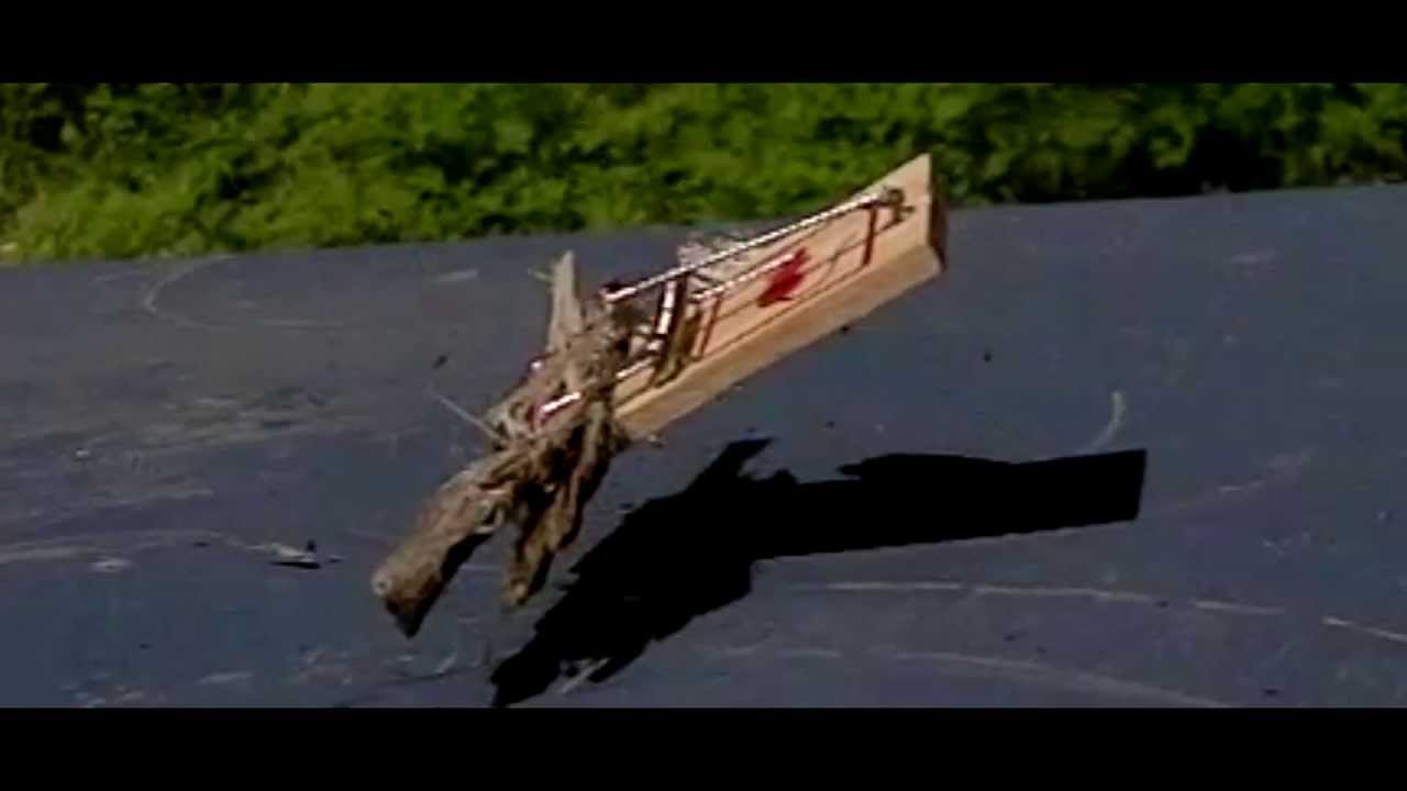 Casio EX-F1 600 FPS Mousetrap