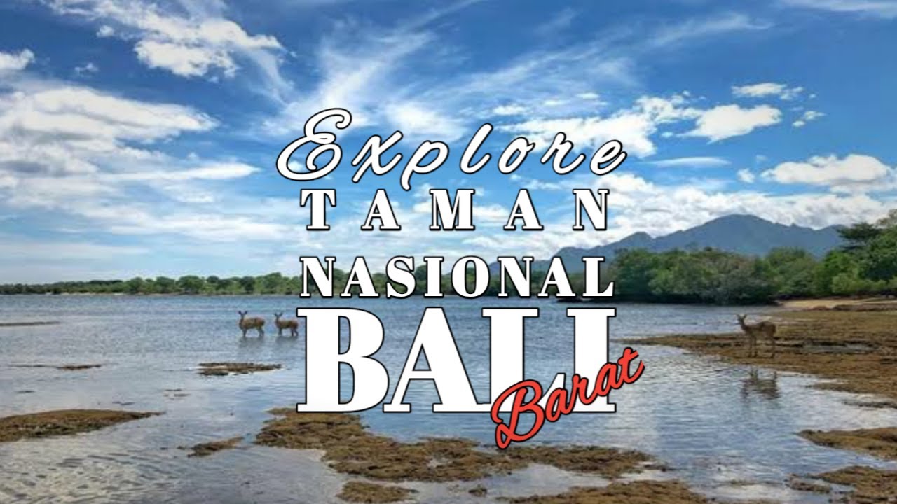 EXPLORE TAMAN NASIONAL BALI BARAT