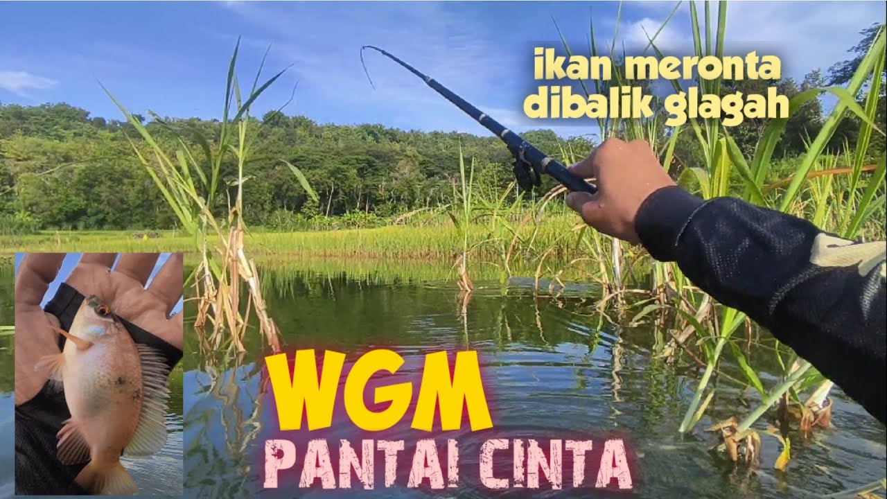 MANCING DI WADUK GAJAH MUNGKUR WGM‼️ TARIKAN IKAN INI MBEROT2 #mancing #fishing #fish