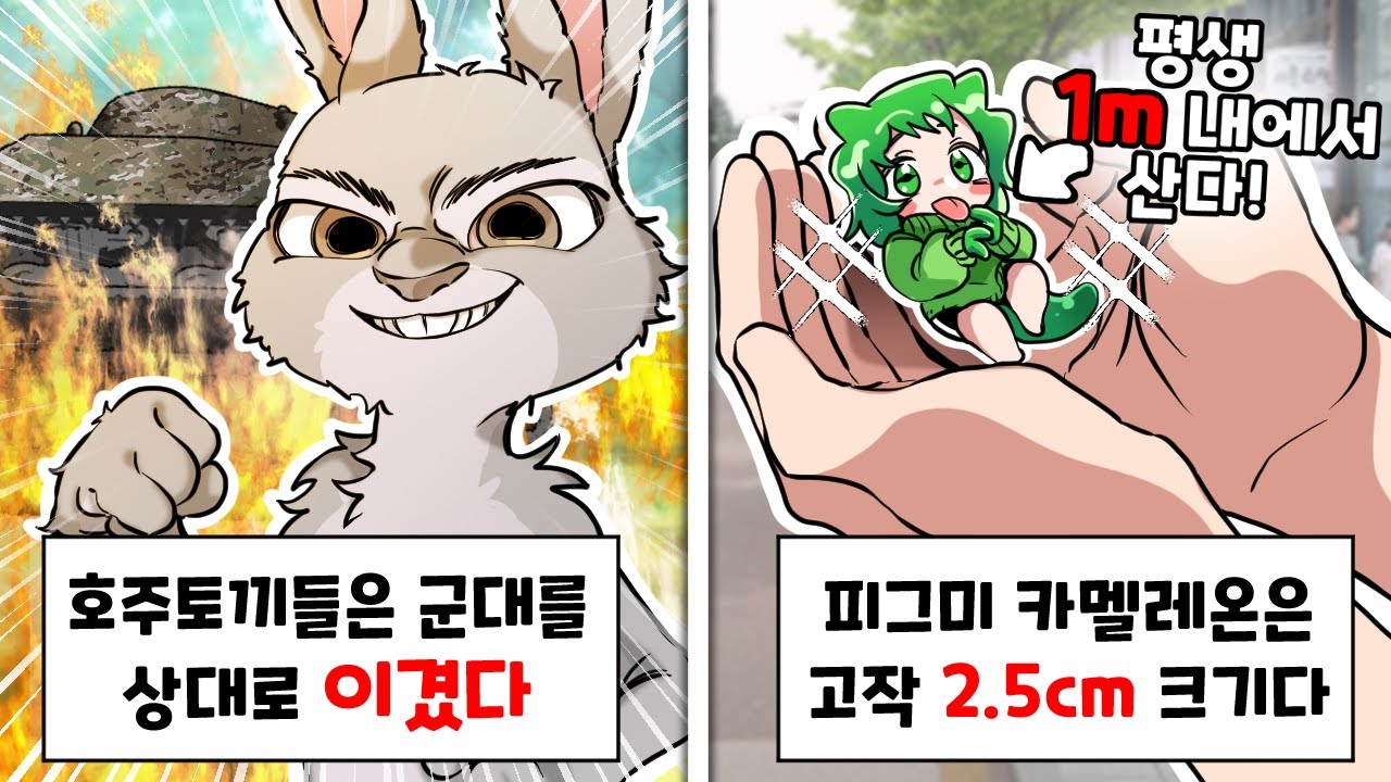 아니 이게 어떻게 진짜인건데 ㅋㅋㅋ [이왜진 동물 월드컵2]