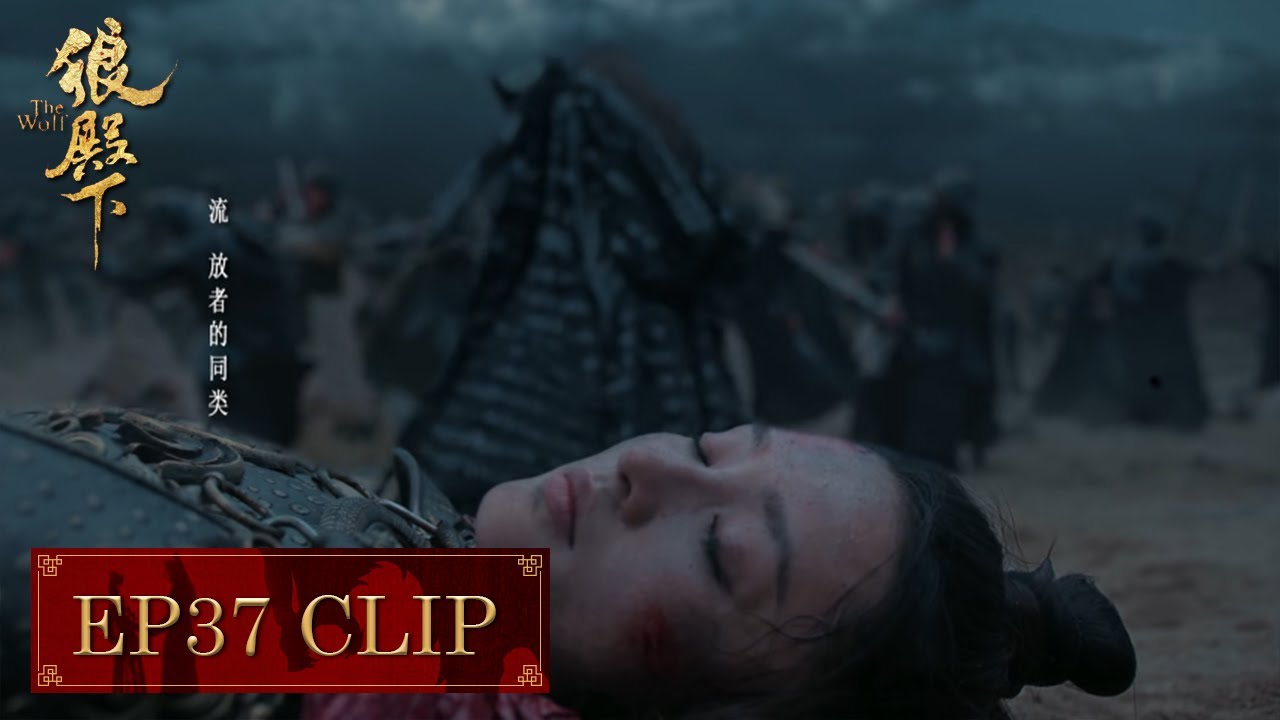 (First Peek) Ma Zhaixing was seriously injured, Lord Bo risked his life to protect her | The Wolf