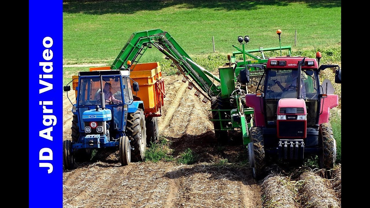 Case Maxxum 5150 | Ford 4610 | Aardappels rooien | Merkelbeek | Harvesting potatoes | 2018