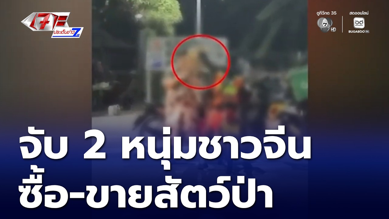 จับ 2 หนุ่มชาวจีน ลอบซื้อ-ขายสัตว์ป่าสงวน | เจาะประเด็นข่าว 7HD