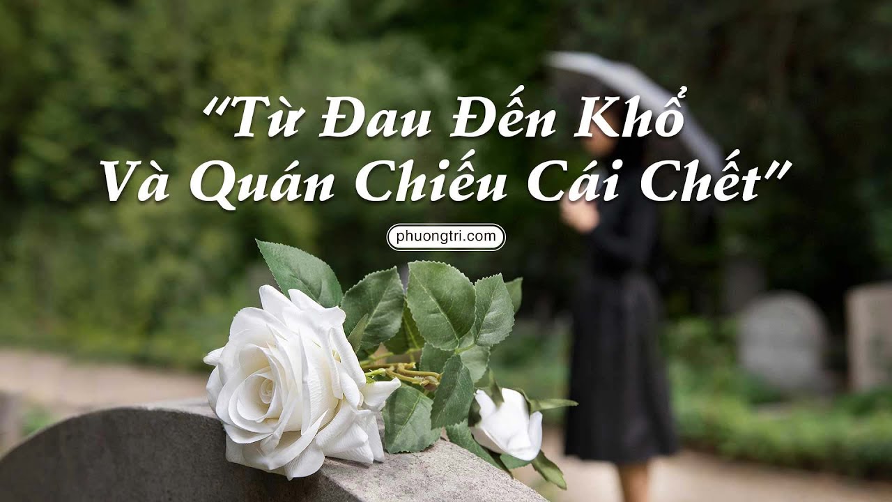 Từ Đau Đến Khổ V&agrave; Qu&aacute;n Chiếu C&aacute;i Chết - Thiền Qu&aacute;n.