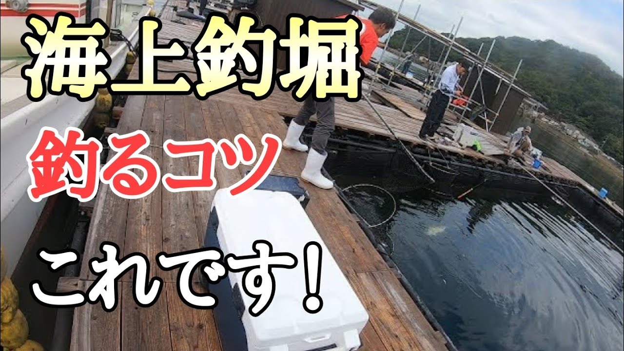 【海上釣堀】海上釣り堀でこれをやればだいたい釣れる！　初心者釣り方講座　広島県　大漁丸さんにて　2020年9月12日釣行