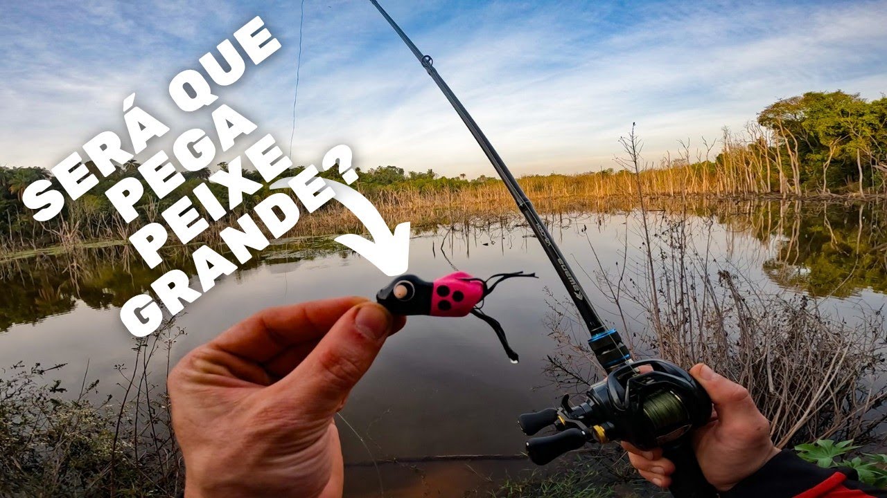 ACABOU O INVERNO?! Pesca de traira com frog.