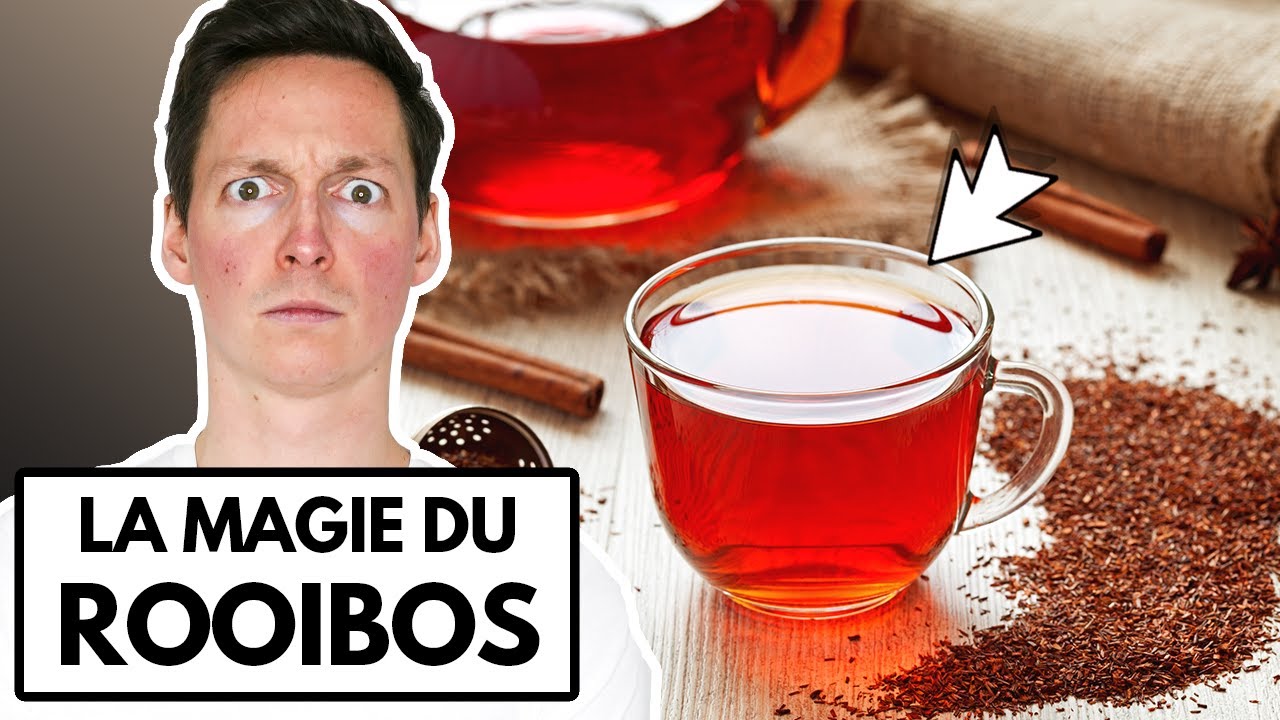 La Meilleure Alternative au Thé: Le Rooibos