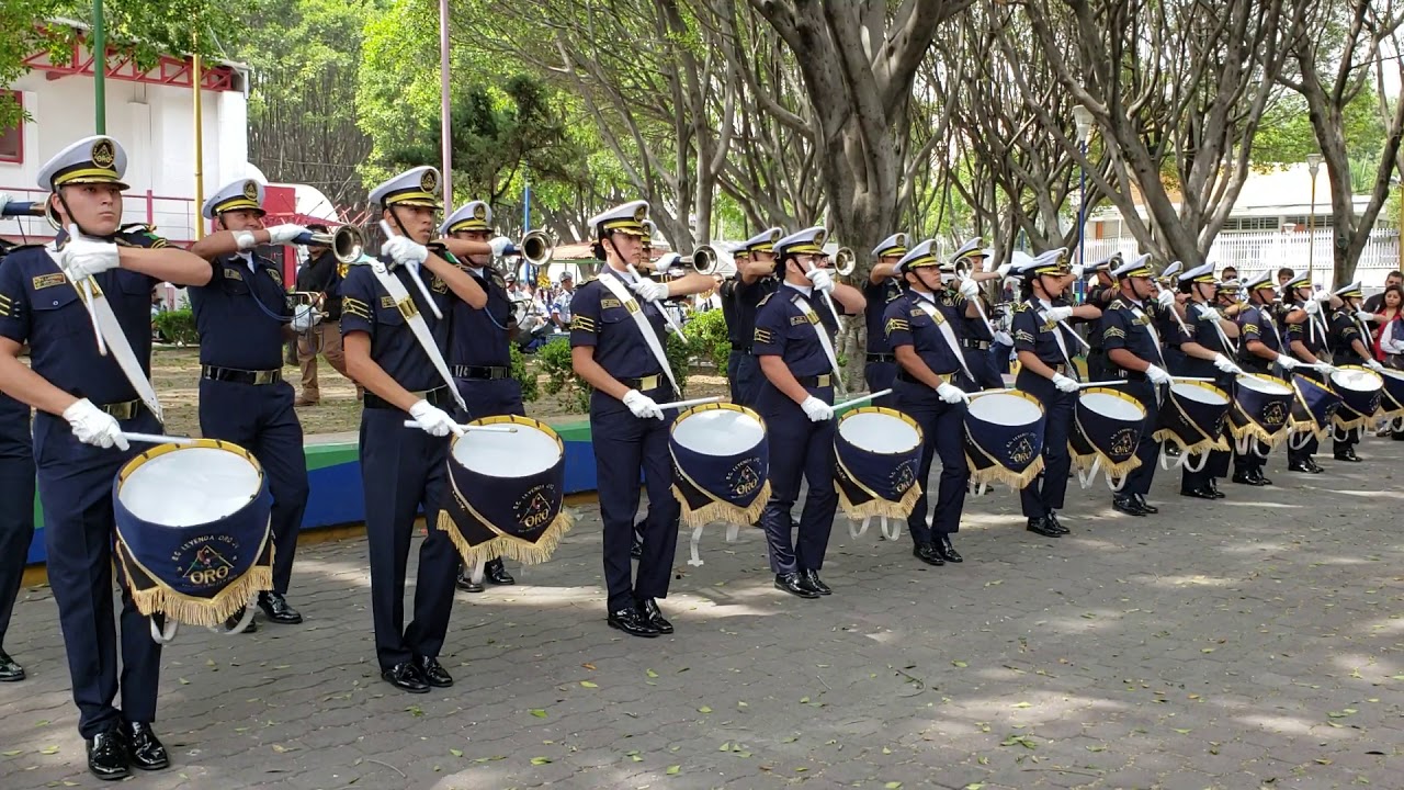 Leyenda Oro JV. Rutina libre. Concurso CDMX Cobras 2019