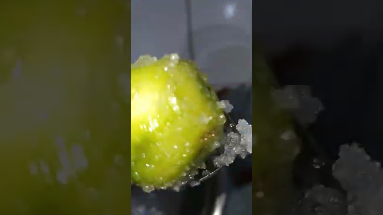 Jeruk Kedondong! 🫒 #cooking #asmr #jeruk #kedondong #pickle #fruit #sour #plum #eat #food #love