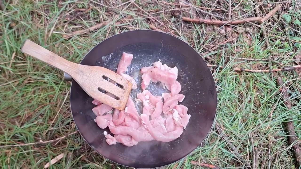 Wok stir-fry on the titan solo stove in the woods
