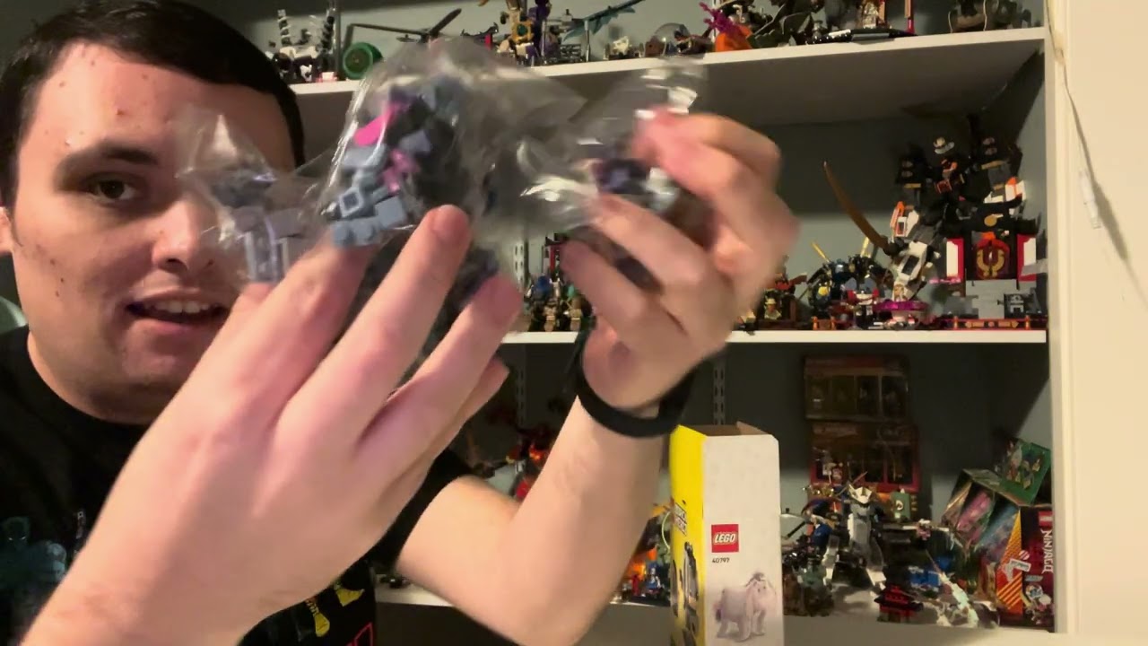 Build and review of Lego Disney Brickheadz Winnie the Pooh Eeyore 