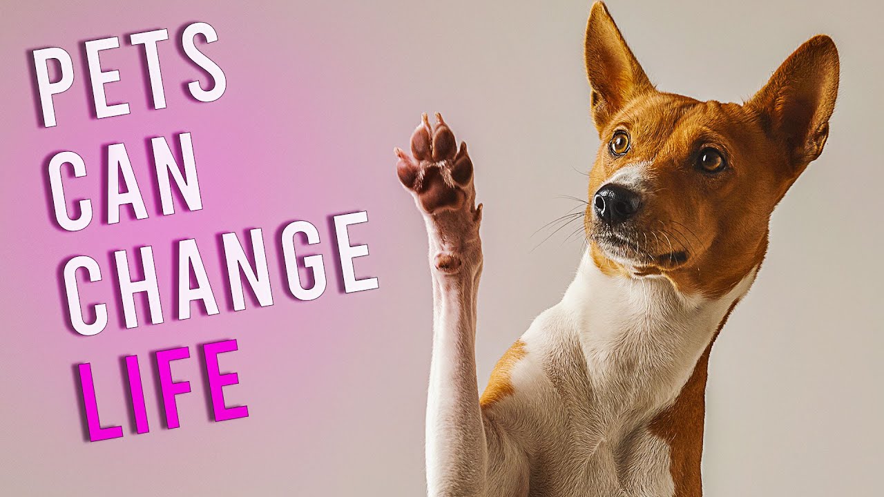 How extremly Pets can Change your life