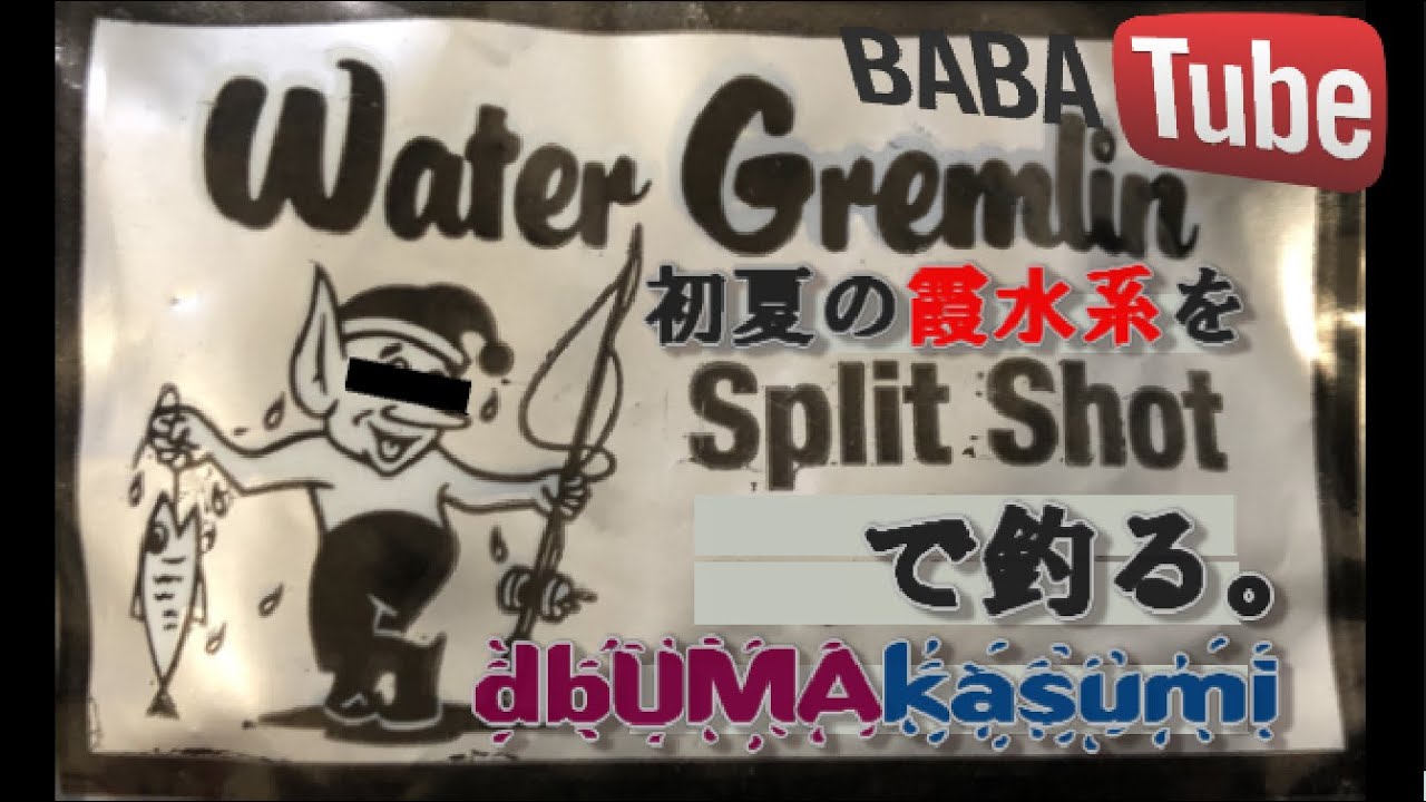 BABATube【激安】db UMA カスミのスプリットショットで初夏の霞水系を釣る