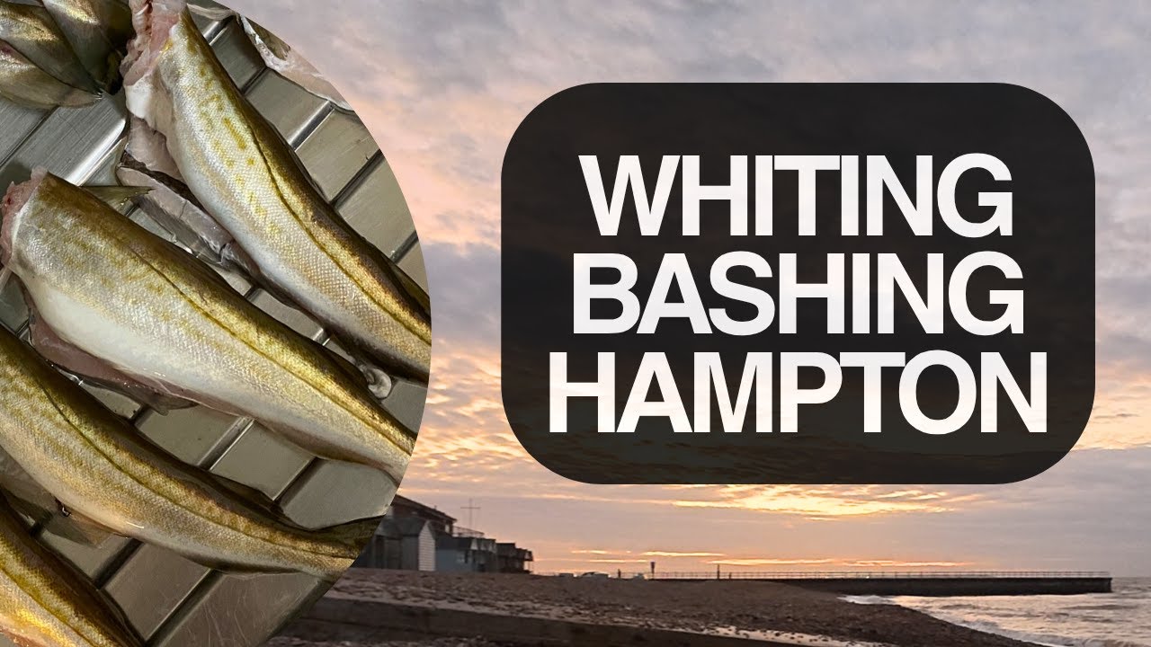 Hampton, Herne Bay | Whiting Frenzy! Fishing 27th October 2025