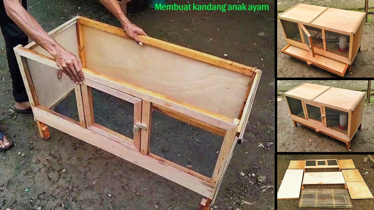 Cara membuat kandang anak ayam rakitan