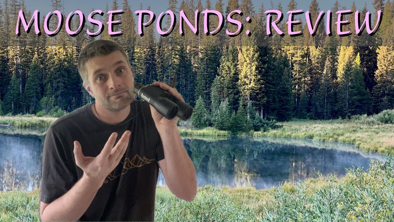 A popular hike for wildlife in Grand Teton National Park, Moose Ponds Trail Review.