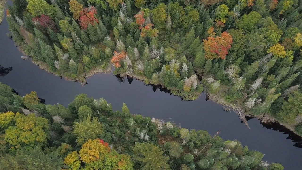 Aerial Sample of Conservation Work