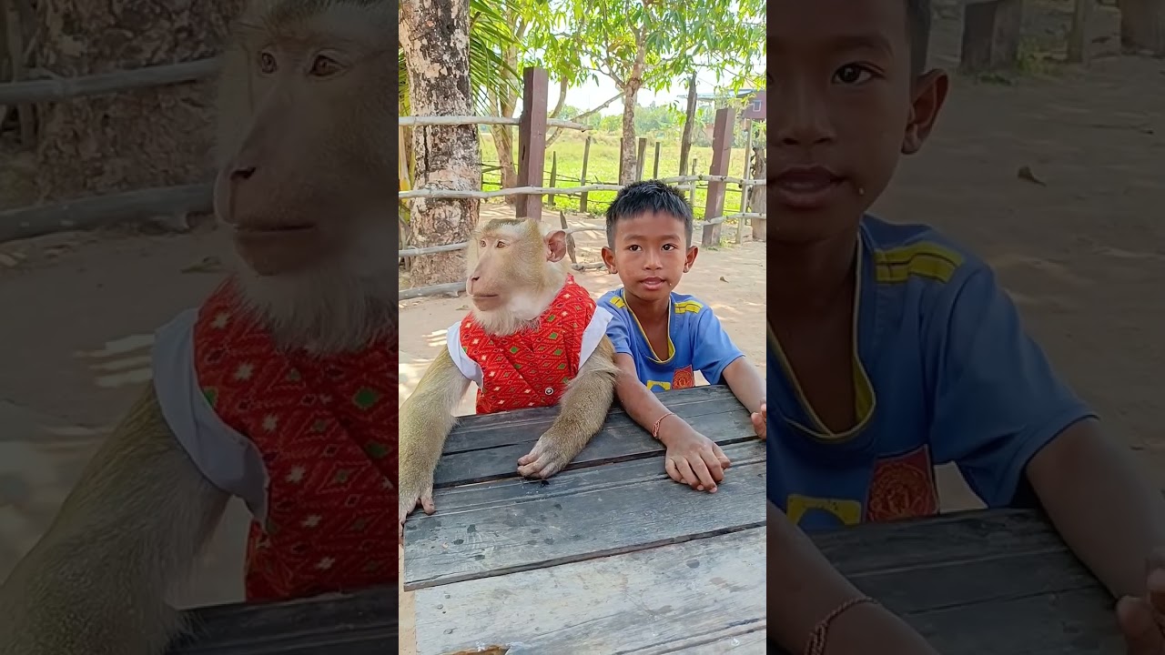 SokYaa Monkey Surprises the Kids and Becomes Everyone&rsquo;s Best Friend