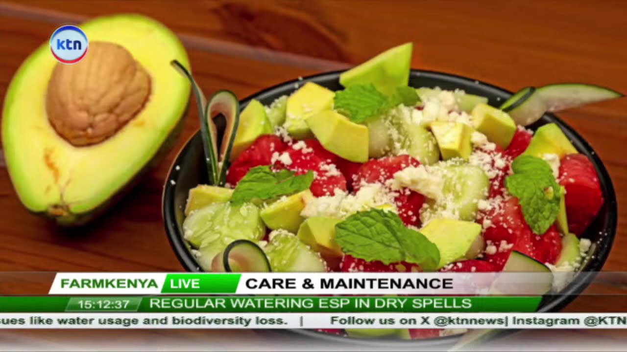 Avocado Farming for Beginners: Start Your Green Gold Journey! || Farm Kenya