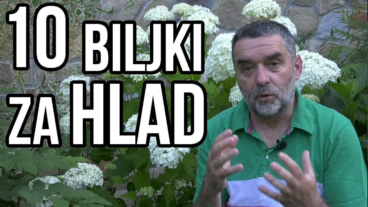 10 biljaka za hlad