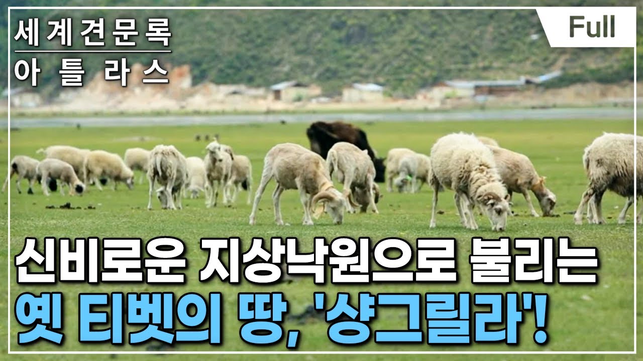 [Full] 세계견문록- 아틀라스 - 중국 차(茶) 기행 - 2부 운남, 소수민족과 차