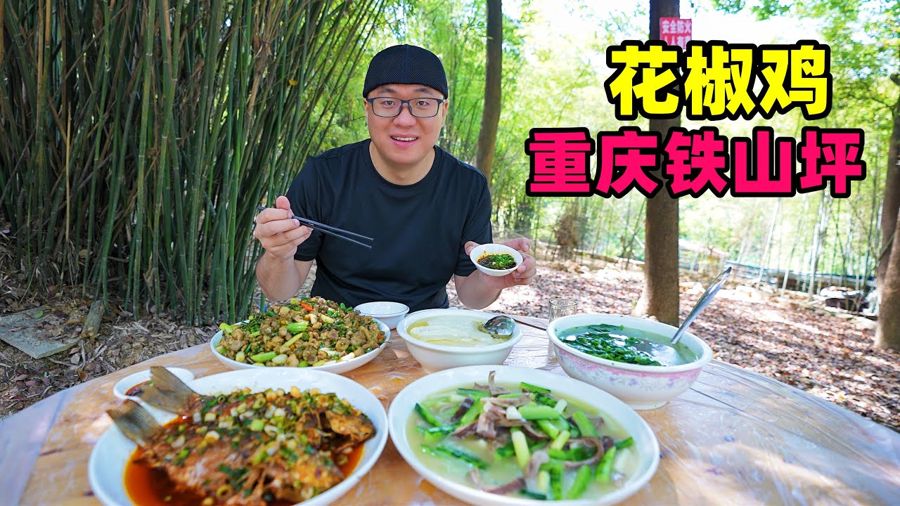 重庆铁山坪花椒鸡，青花椒里找鸡块，咸香干烧鱼，阿星吃井水豆花Pepper Chicken and Farmhouse Delicacy in Chongqing