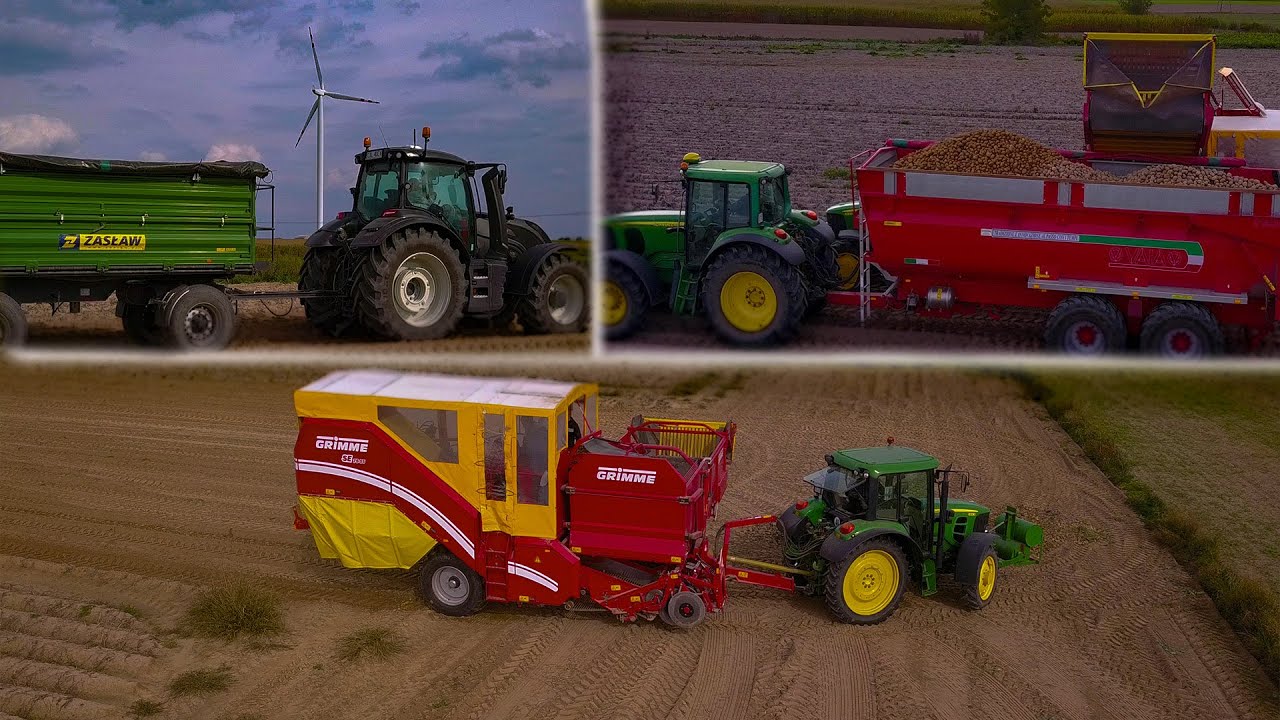 Wykopki Ziemniaków Grimma SE 75-55 | Przyczepa VAIA | 3x John Deere | Valtra |