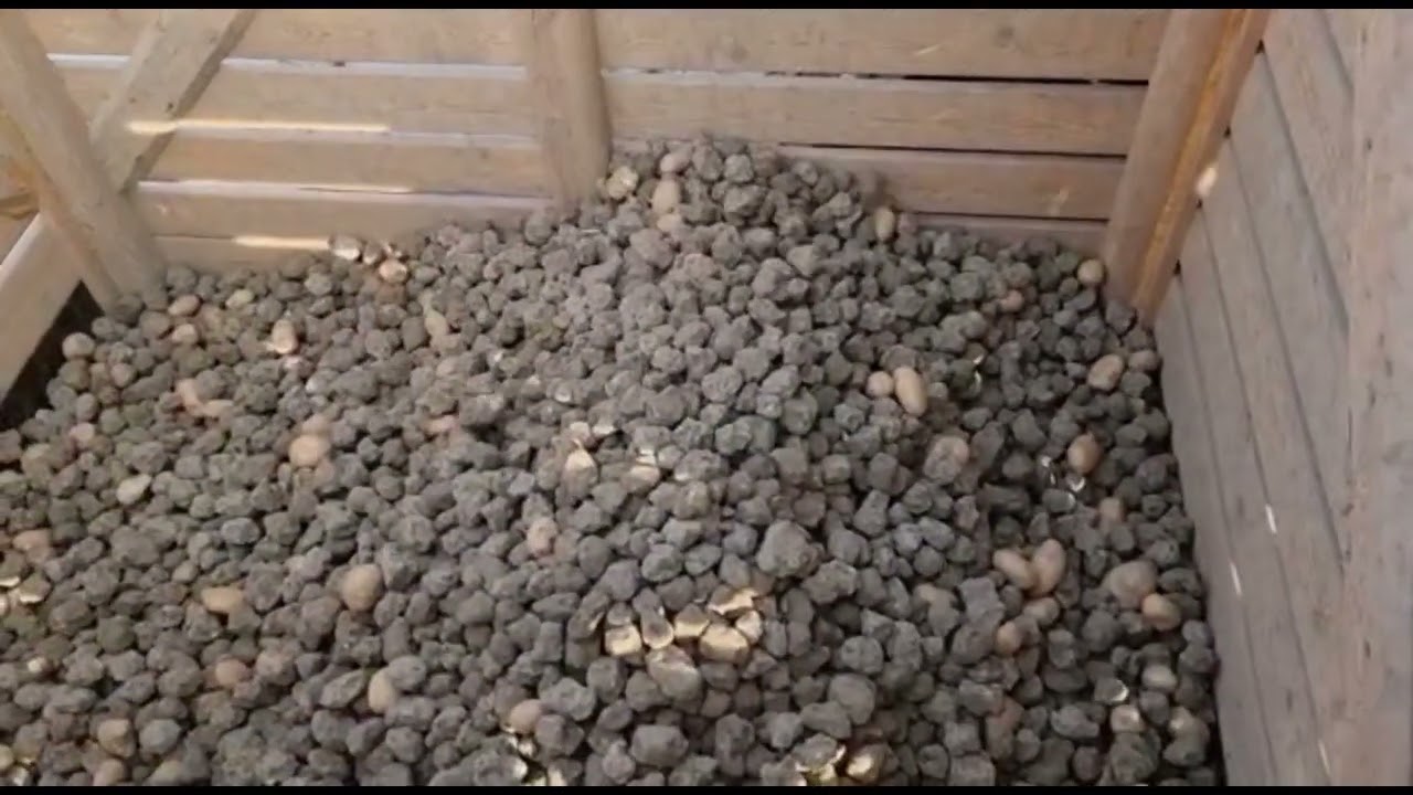 Kluitenscheider LMB Doornbos