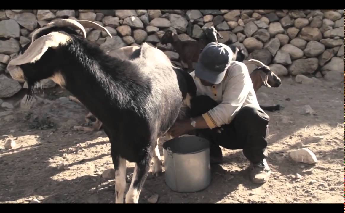 Al Final del Camino: Los Cabreros de Las Ramadas