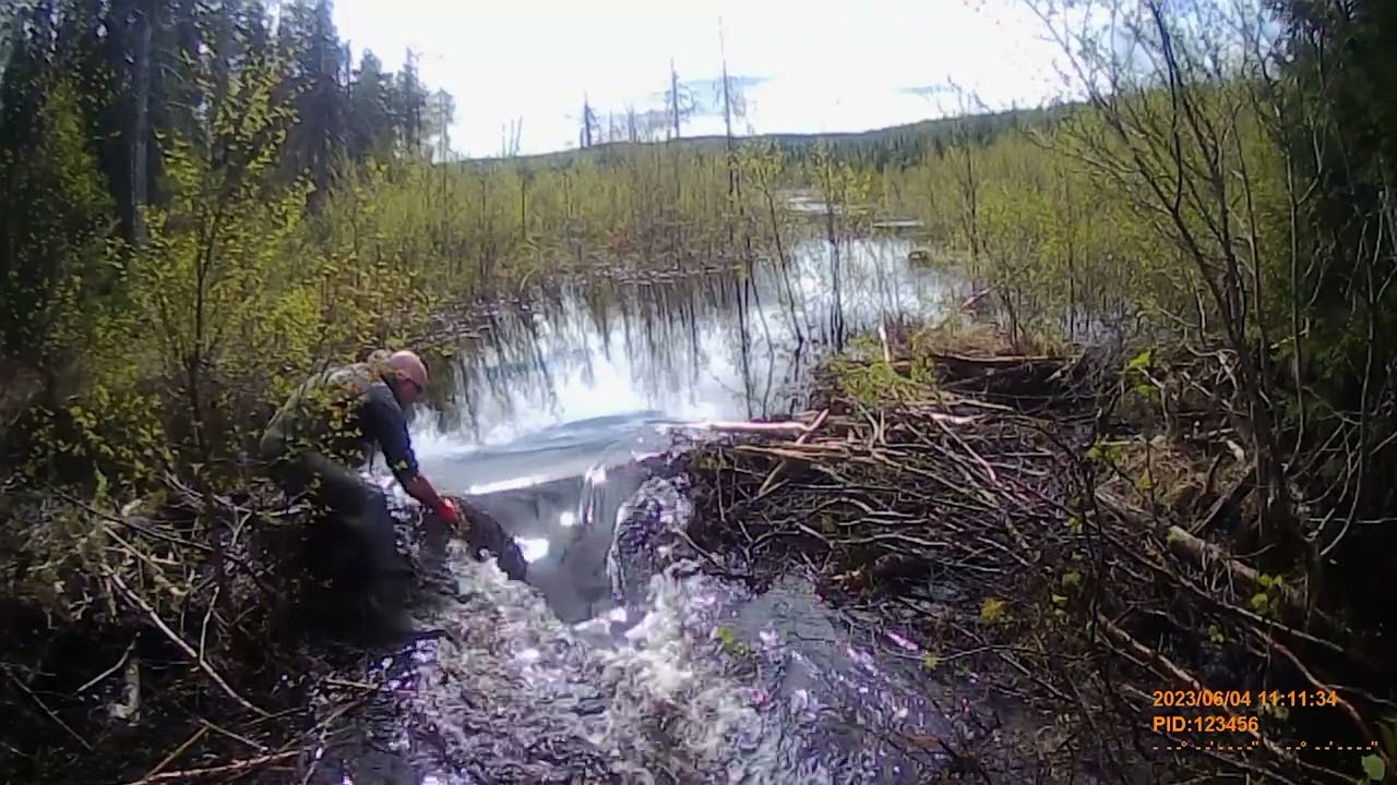 Norra Skärvången - Dammrivning 2023