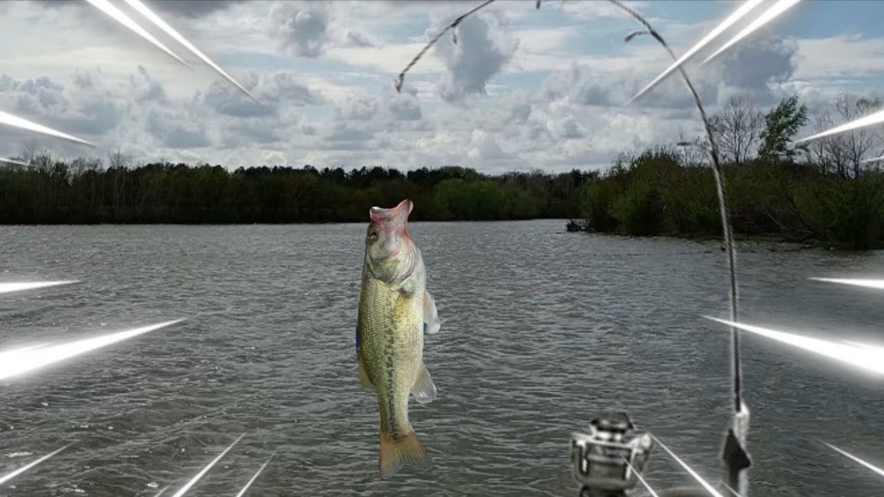I DECIDED TO BECOME A FISHERMAN...