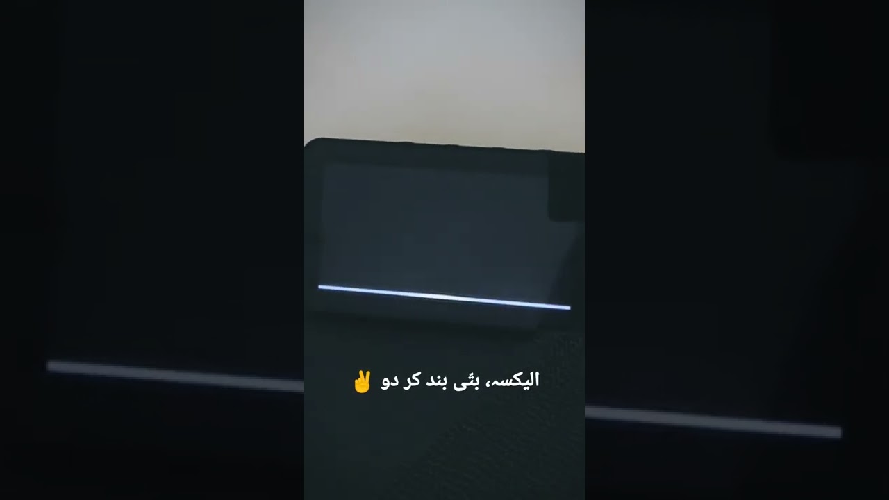 Alexa speaks English + Urdu/Hindi