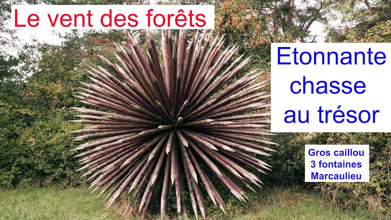 Le vent des forêts 2 : les parcours Est