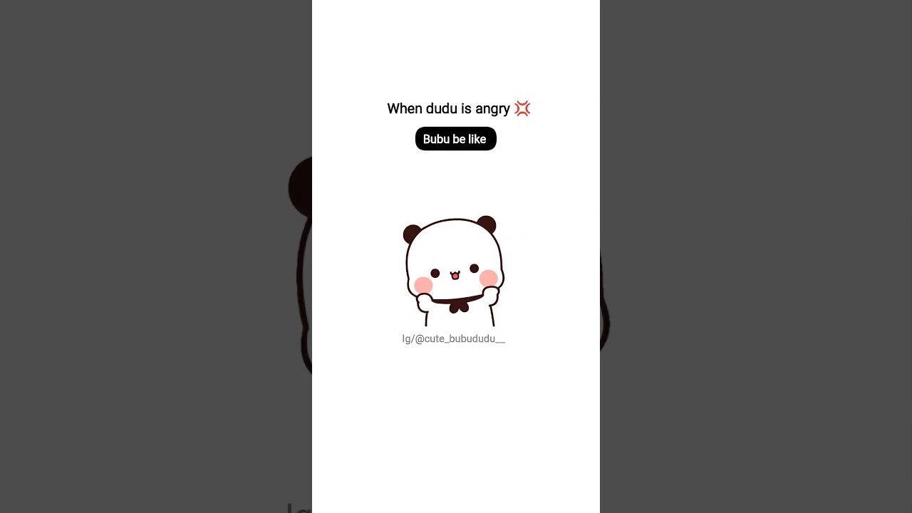 bubu dudu's cute fight moments #shorts #dudububu #bubu #bubududu #cartoon #animation