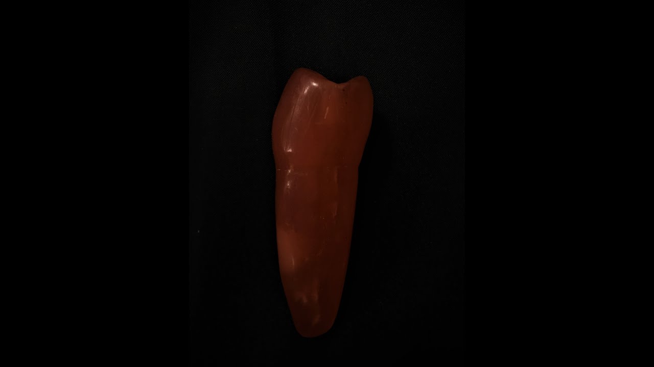 Mandibular 2.Premolar Mum Yontu-Mandibular Second Premolar Wax Carvnig