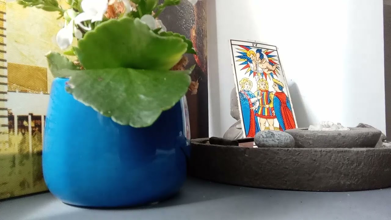 Arr&ecirc;tez de chercher. Le tarot vous r&eacute;v&egrave;le le seul choix qui compte.