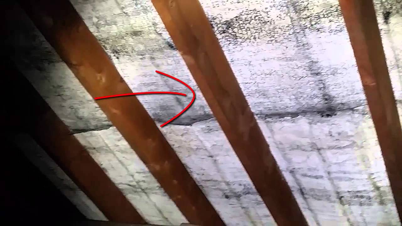20 20 rotting roof sarking felt